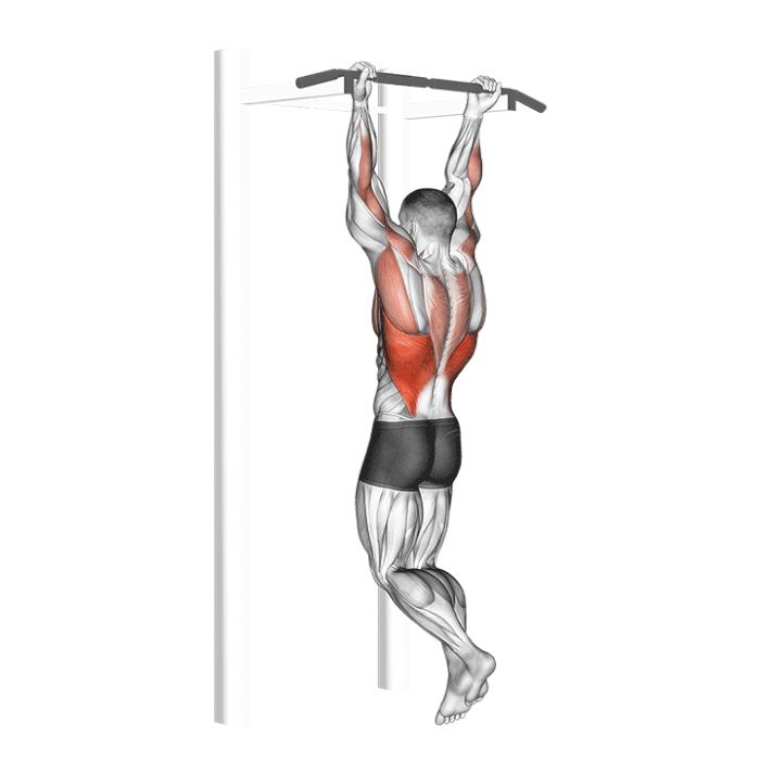 Tractions supination